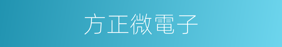 方正微電子的同義詞