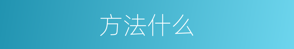 方法什么的意思