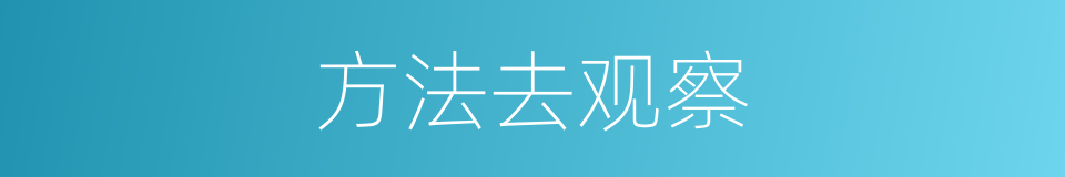 方法去观察的同义词
