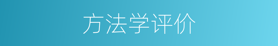 方法学评价的同义词