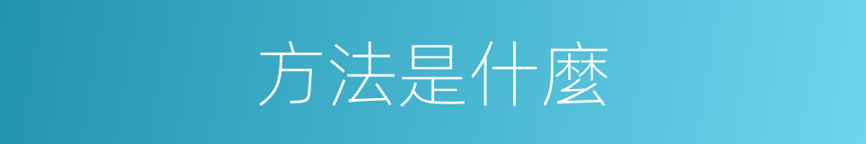方法是什麼的意思