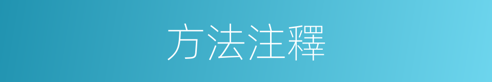 方法注釋的意思