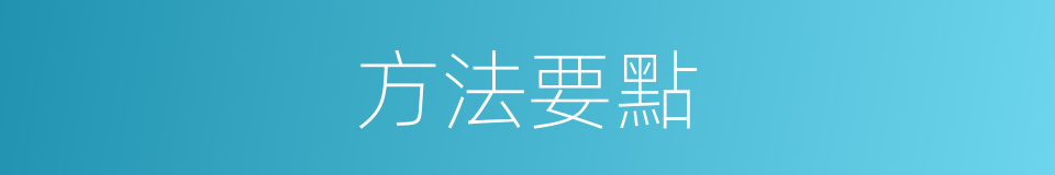 方法要點的同義詞