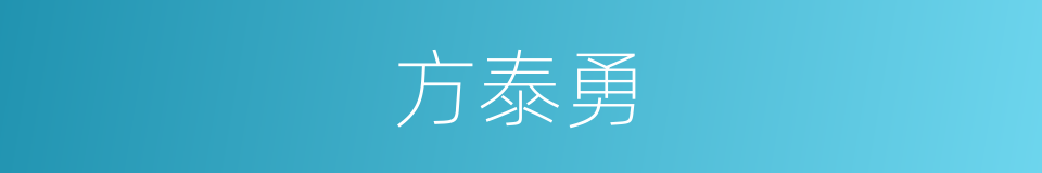 方泰勇的同义词