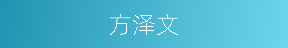 方泽文的同义词