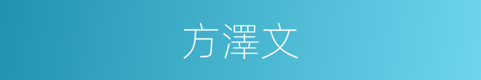 方澤文的同義詞