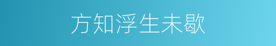 方知浮生未歇的同义词