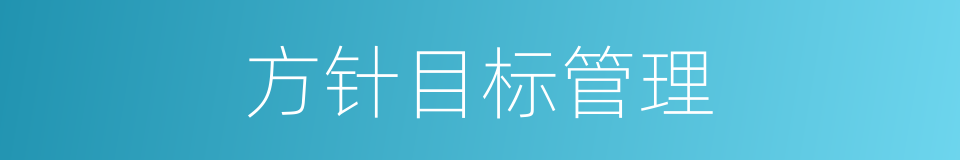方针目标管理的同义词