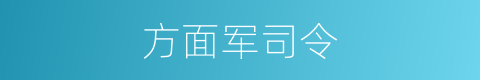 方面军司令的同义词