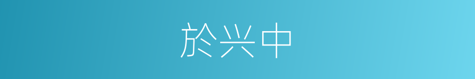 於兴中的同義詞