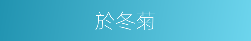 於冬菊的同義詞