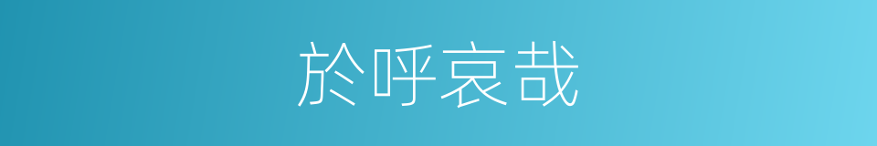 於呼哀哉的意思