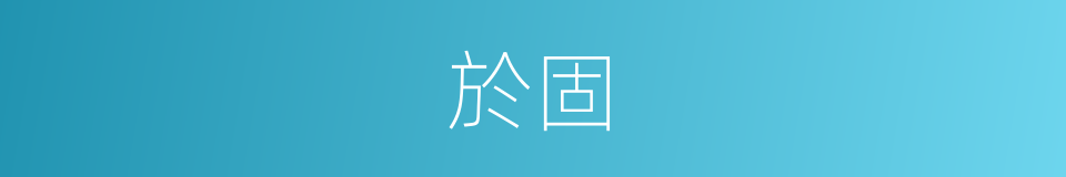於固的同義詞