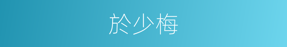 於少梅的同義詞