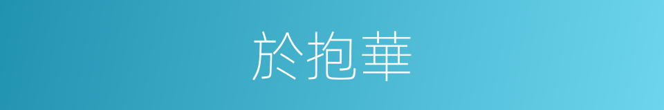 於抱華的同義詞