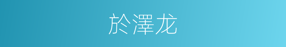 於澤龙的同義詞