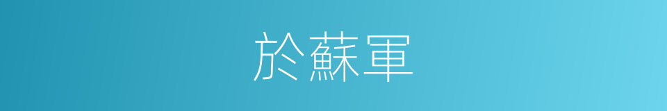 於蘇軍的同義詞