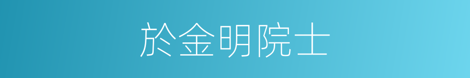 於金明院士的同義詞