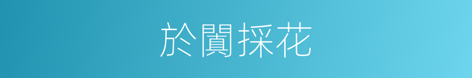 於闐採花的同義詞