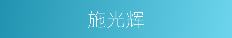 施光辉的同义词