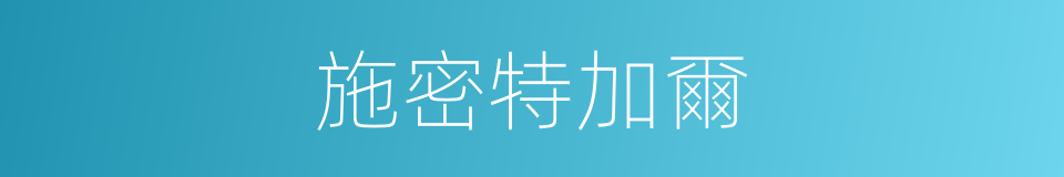 施密特加爾的同義詞