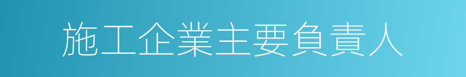 施工企業主要負責人的同義詞