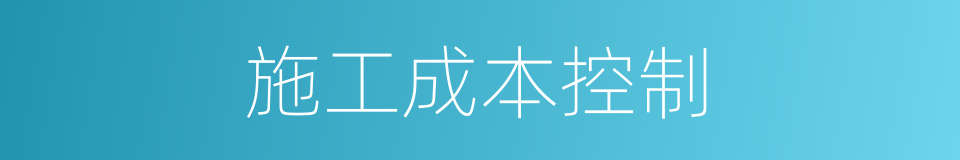 施工成本控制的同义词