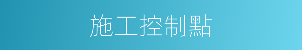 施工控制點的同義詞