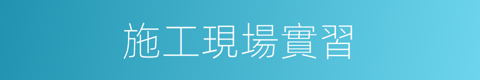 施工現場實習的同義詞