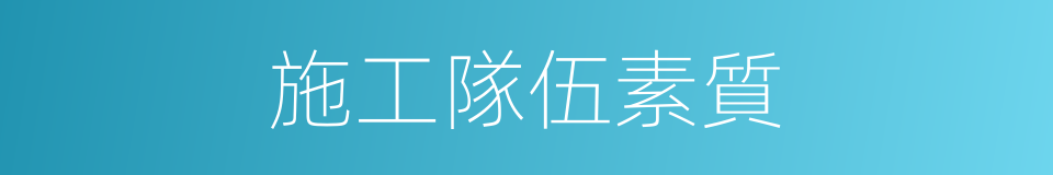 施工隊伍素質的同義詞