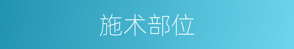 施术部位的同义词