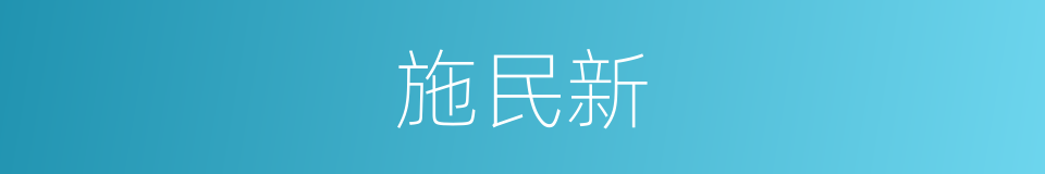 施民新的同义词