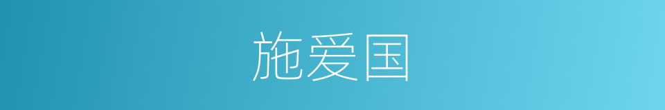 施爱国的同义词