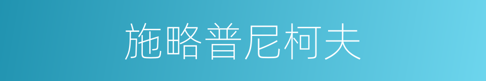 施略普尼柯夫的同义词