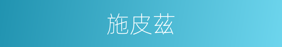 施皮茲的同義詞