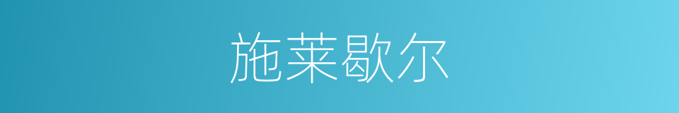 施莱歇尔的意思