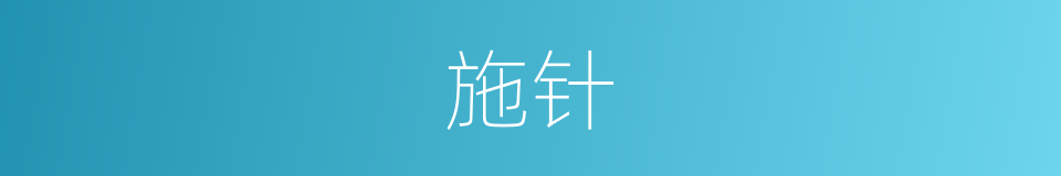施针的意思