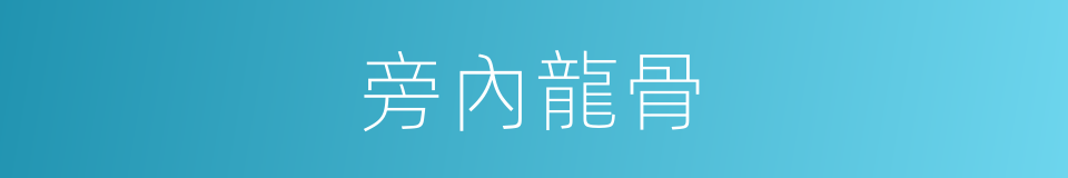 旁內龍骨的同義詞