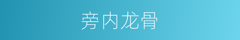 旁内龙骨的同义词