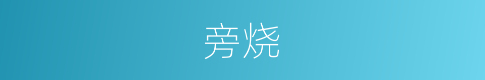 旁烧的同义词