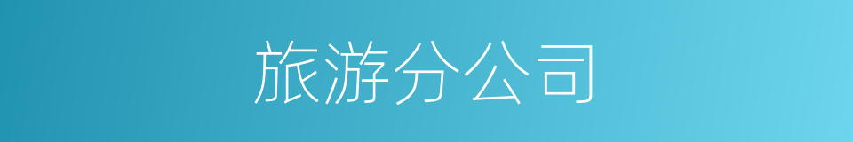 旅游分公司的同义词