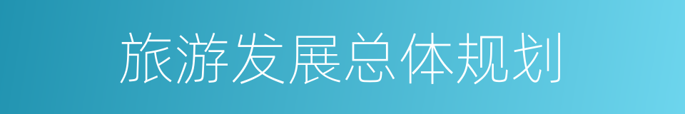 旅游发展总体规划的同义词