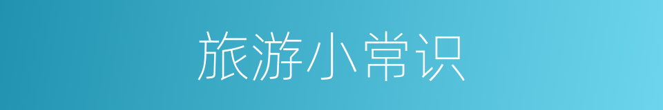 旅游小常识的同义词