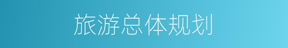 旅游总体规划的同义词