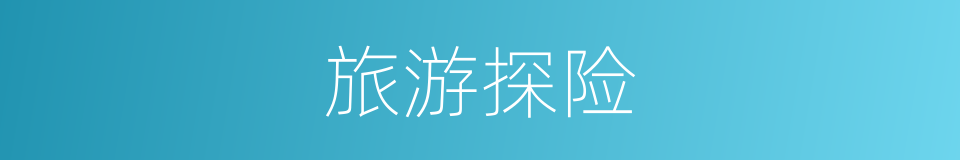 旅游探险的同义词