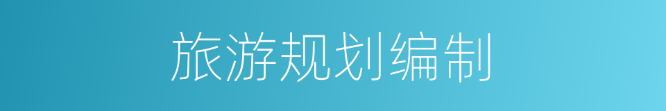 旅游规划编制的同义词