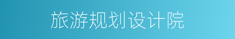 旅游规划设计院的同义词