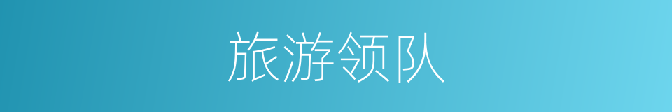 旅游领队的同义词