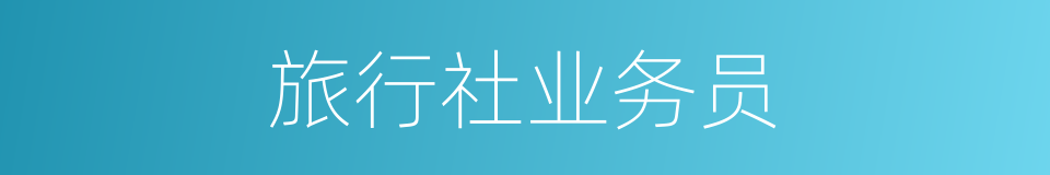 旅行社业务员的同义词