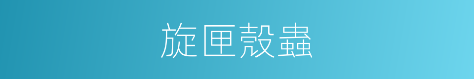 旋匣殼蟲的同義詞